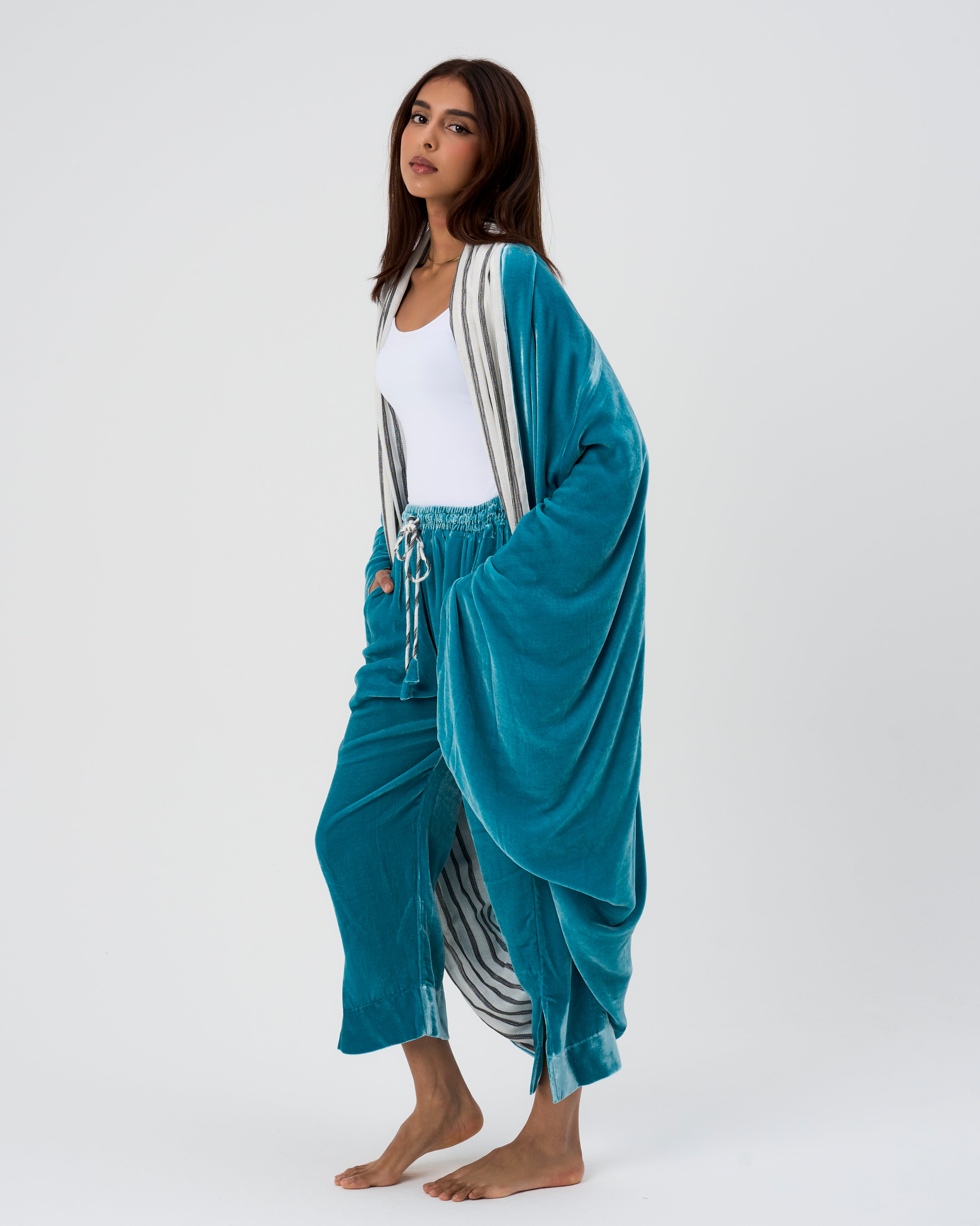 الفراشة الفيروزية