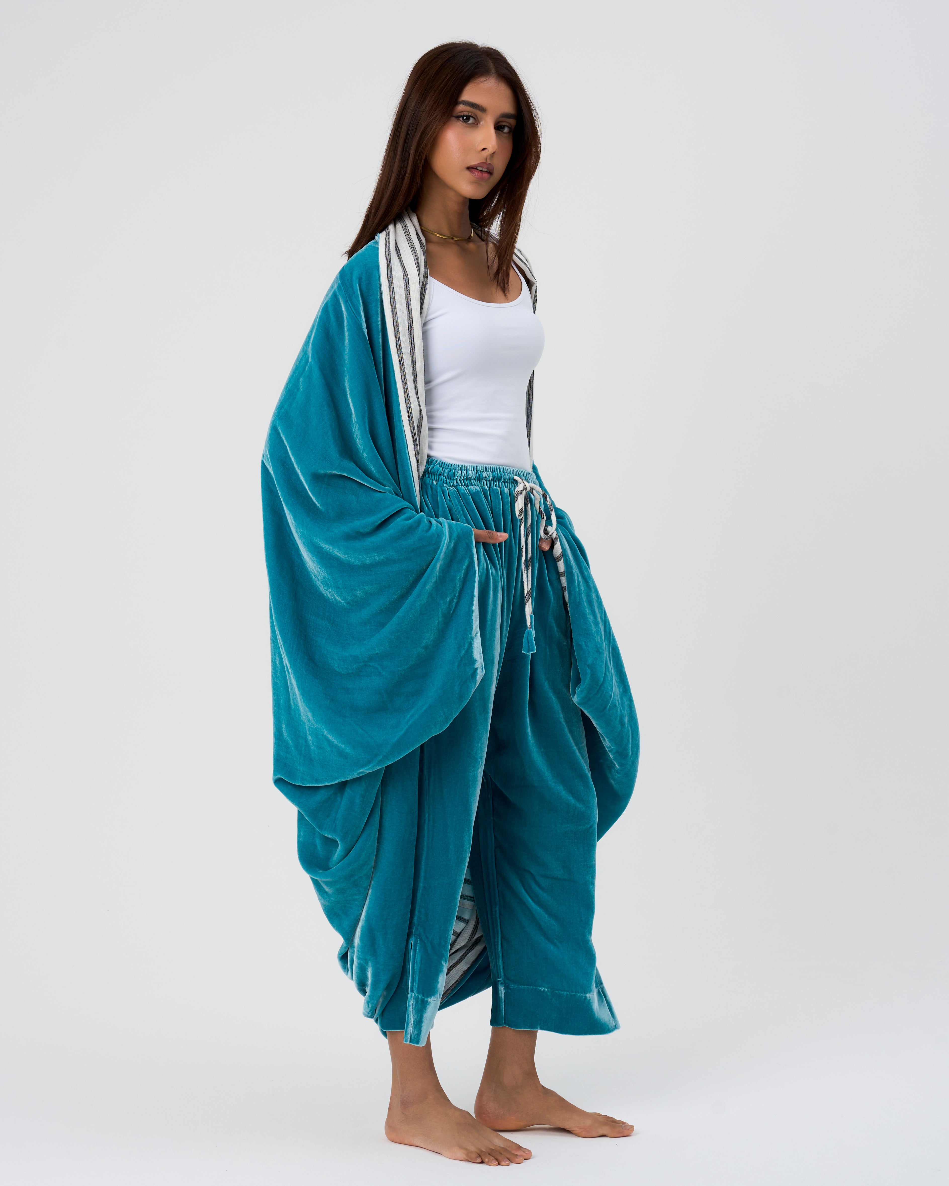 الفراشة الفيروزية