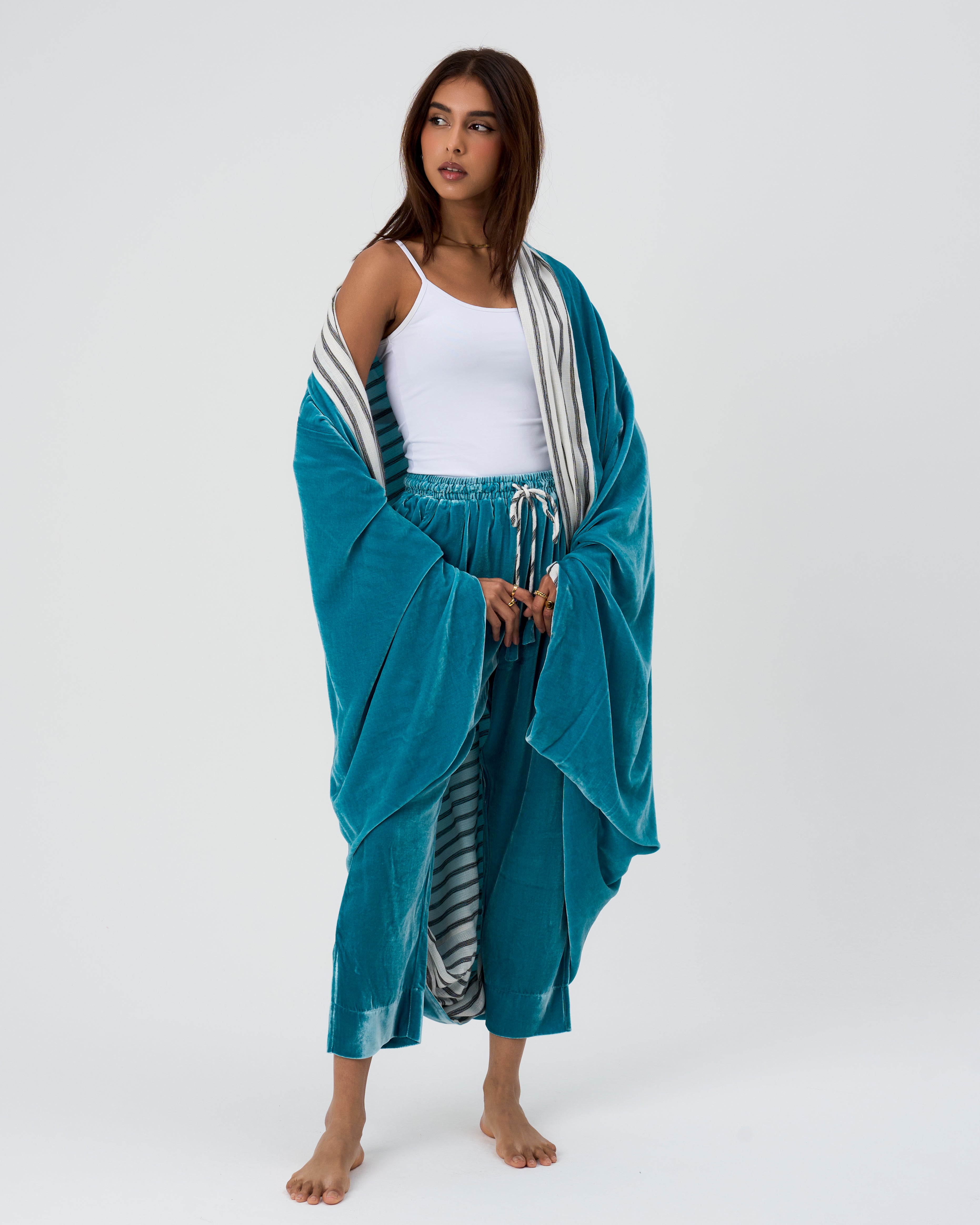 الفراشة الفيروزية