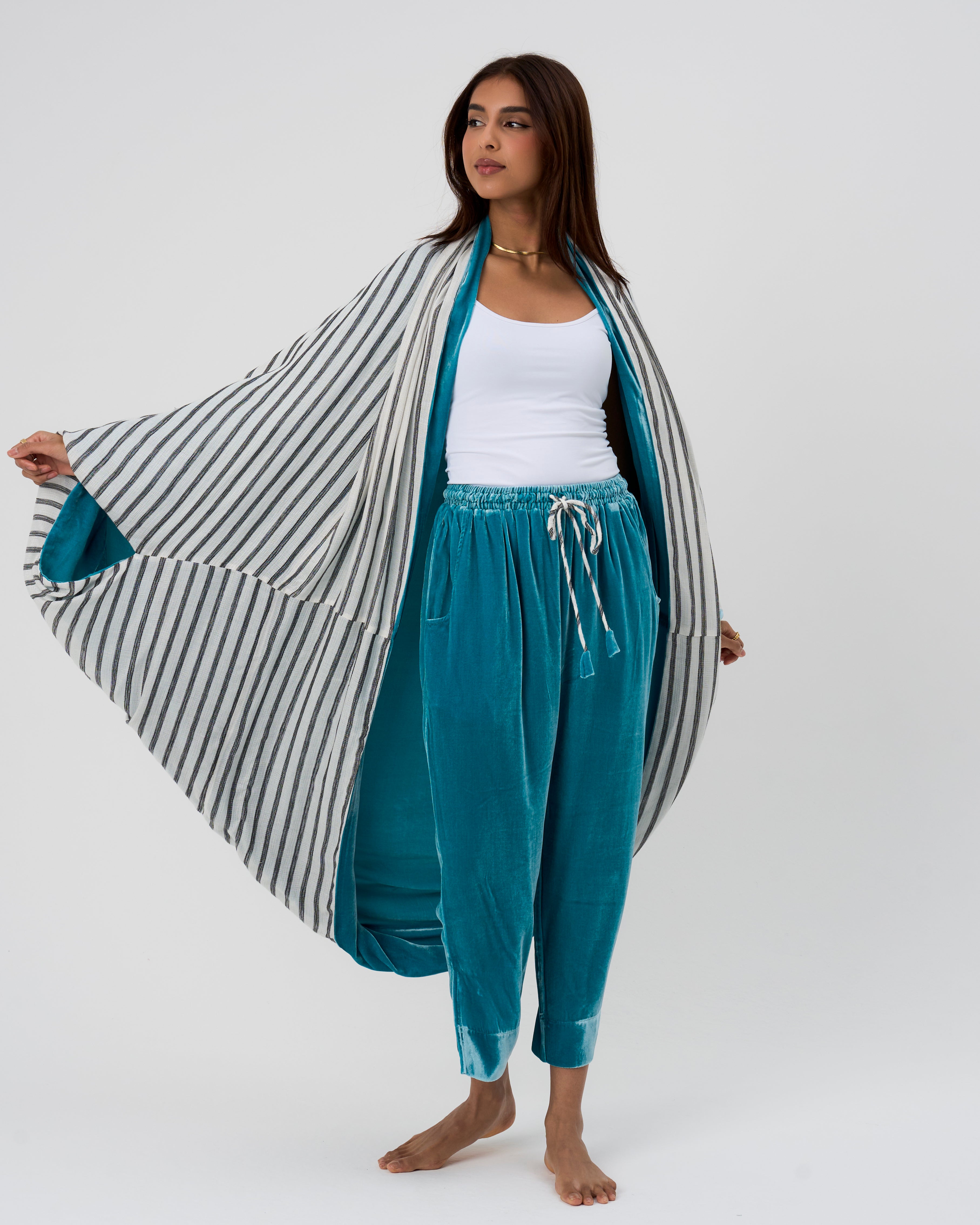 الفراشة الفيروزية